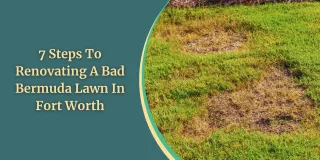 7 Steps To Renovating A Bad Bermuda Lawn In Fort Worth