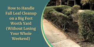 How to Handle Fall Leaf Cleanup on a Big Fort Worth Yard (Without Losing Your Whole Weekend)
