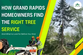 How Grand Rapids Homeowners Find the Right Tree Service (And What to Look for Before You Hire)