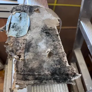 Flood and Mould Restoration After Balcony Water Ingress in Darlinghurst NSW