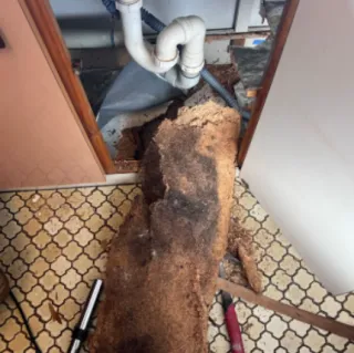 Mould and Water Damage to Kitchen Cabinetry in Bondi NSW