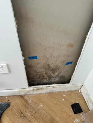 Hidden Mould Requiring Expert Remediation Gladesville NSW