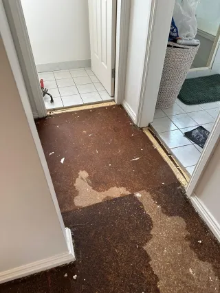 Burst Bathroom Flexi Hose Causing Multi-Level Water Damage in Oyster Bay NSW