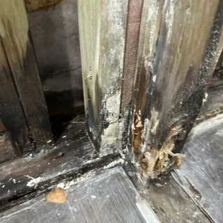 Hidden Mould Remediation in Oran Park, NSW