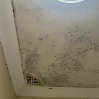 Laundry Ceiling Mould Removal in South Penrith, NSW