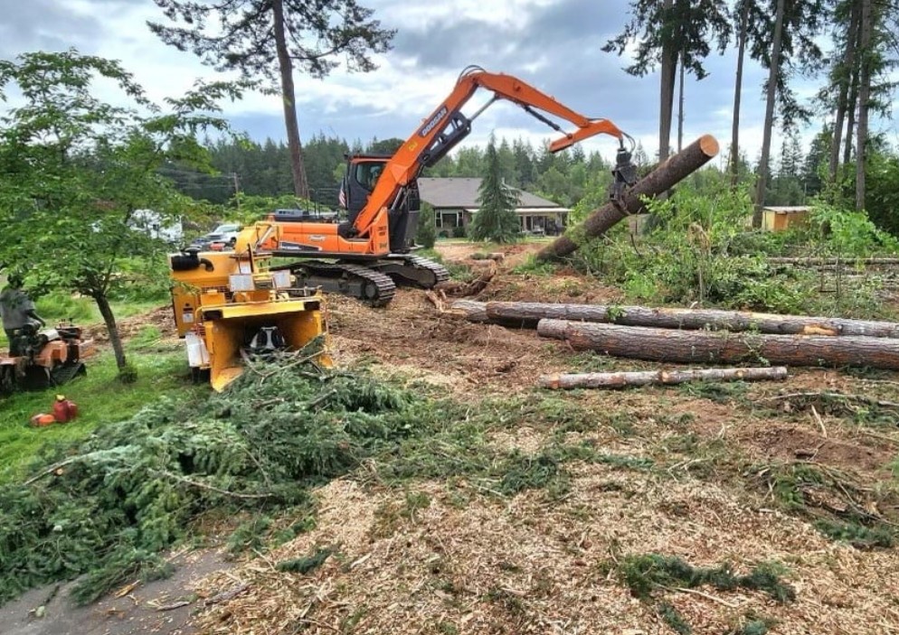Forestry Mulching vs. Traditional Lot Clearing Near Madison County, AL