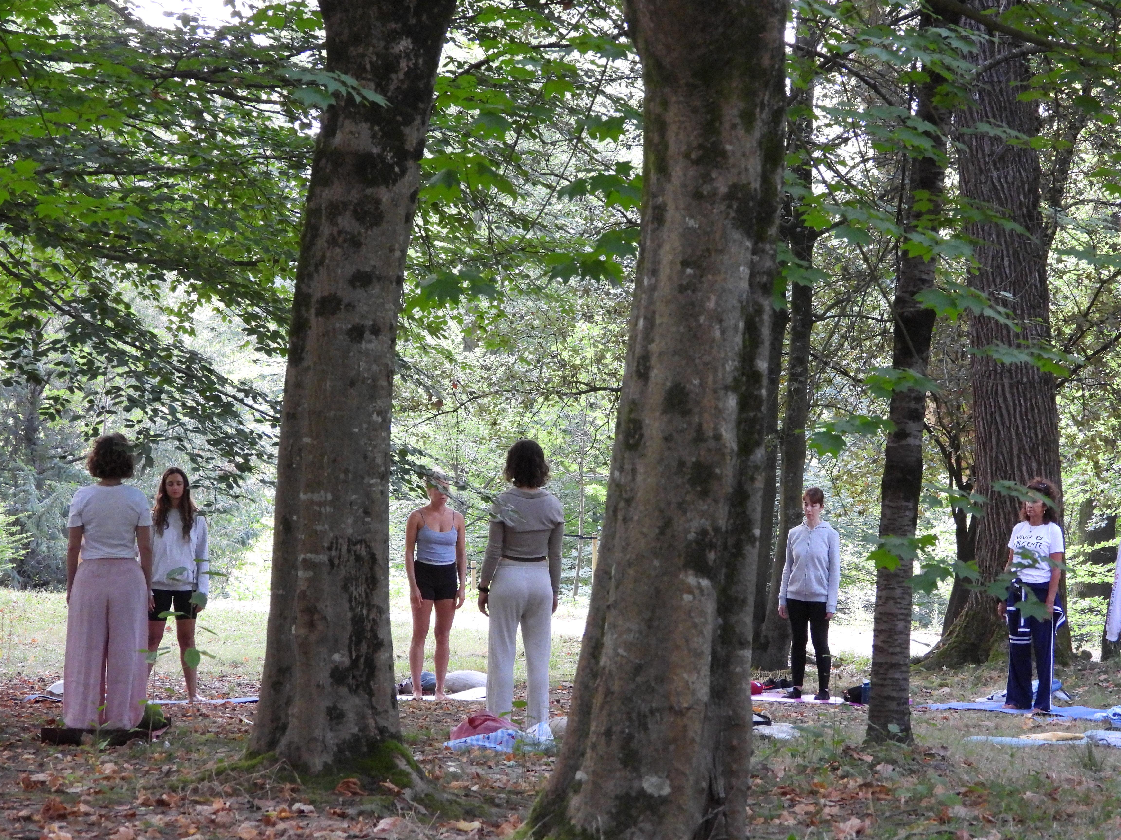 Movimiento y quietud: así son las sesiones grupales