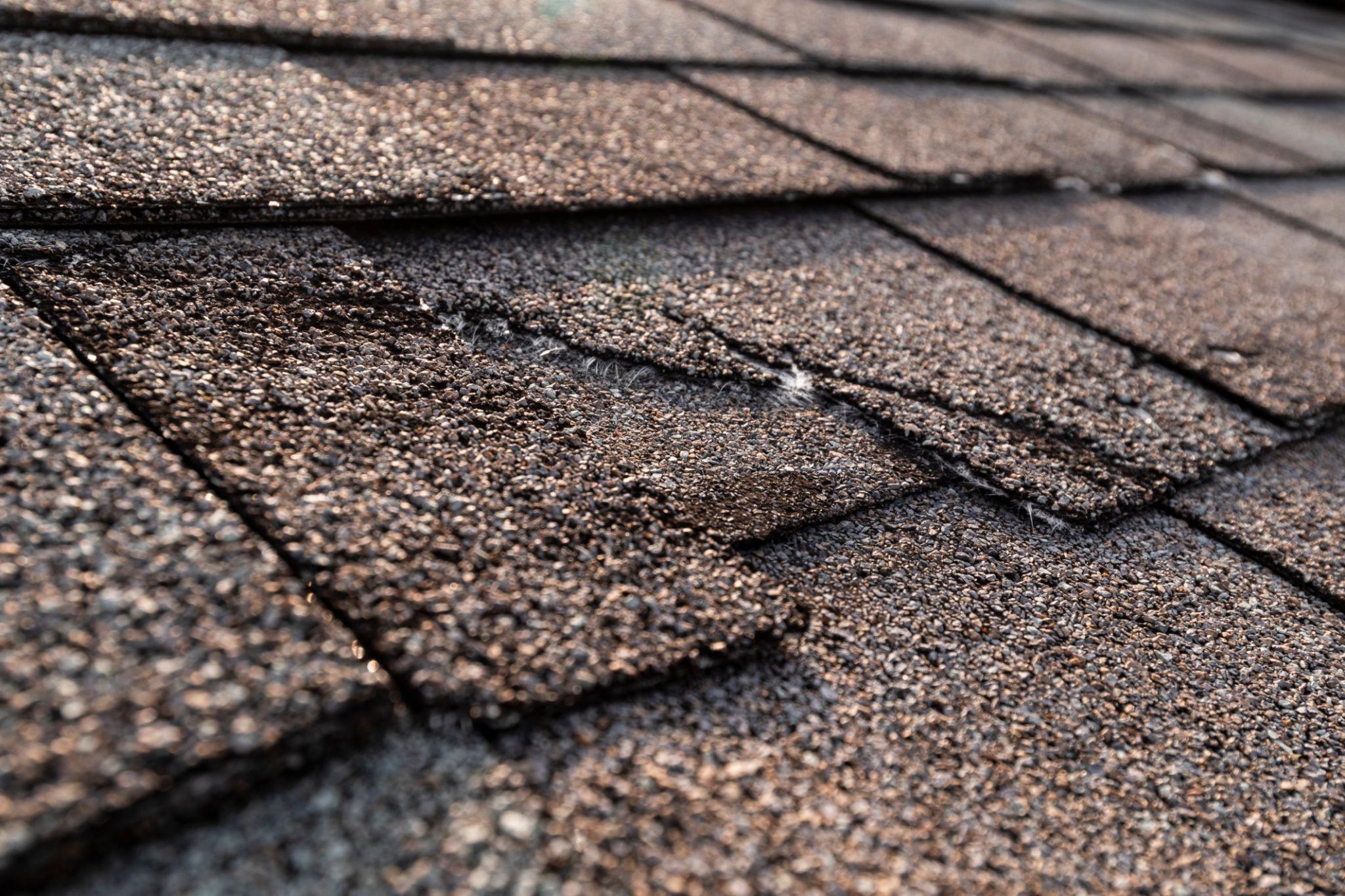 How to Extend the Life of Your Roof in Florida