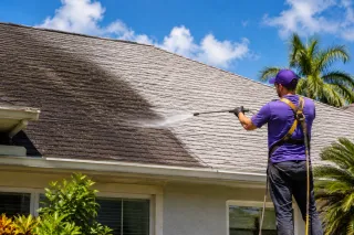 Why Black Streaks on Your Florida Roof Should Not Be Ignored