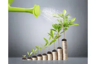 Creating Wealth with Dividend Growth