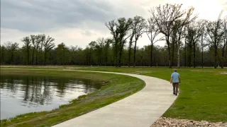 The Decision Tree: Moving From "I Want to Invest" to "Financial Freedom"