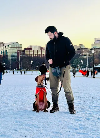 You Sent Your Dog Away for Training. Why Are the Problems Coming Back?