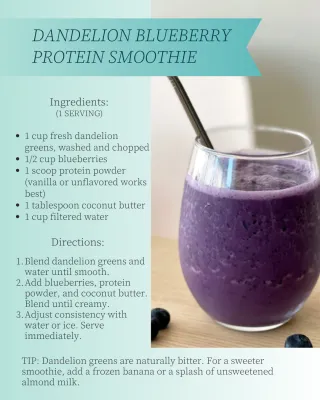 Boost Your Health with Dandelion Smoothie
