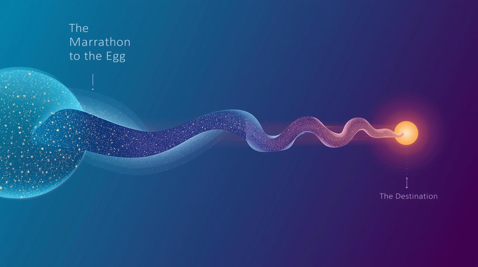 The Sperm's Journey: It Takes Two to Tango
