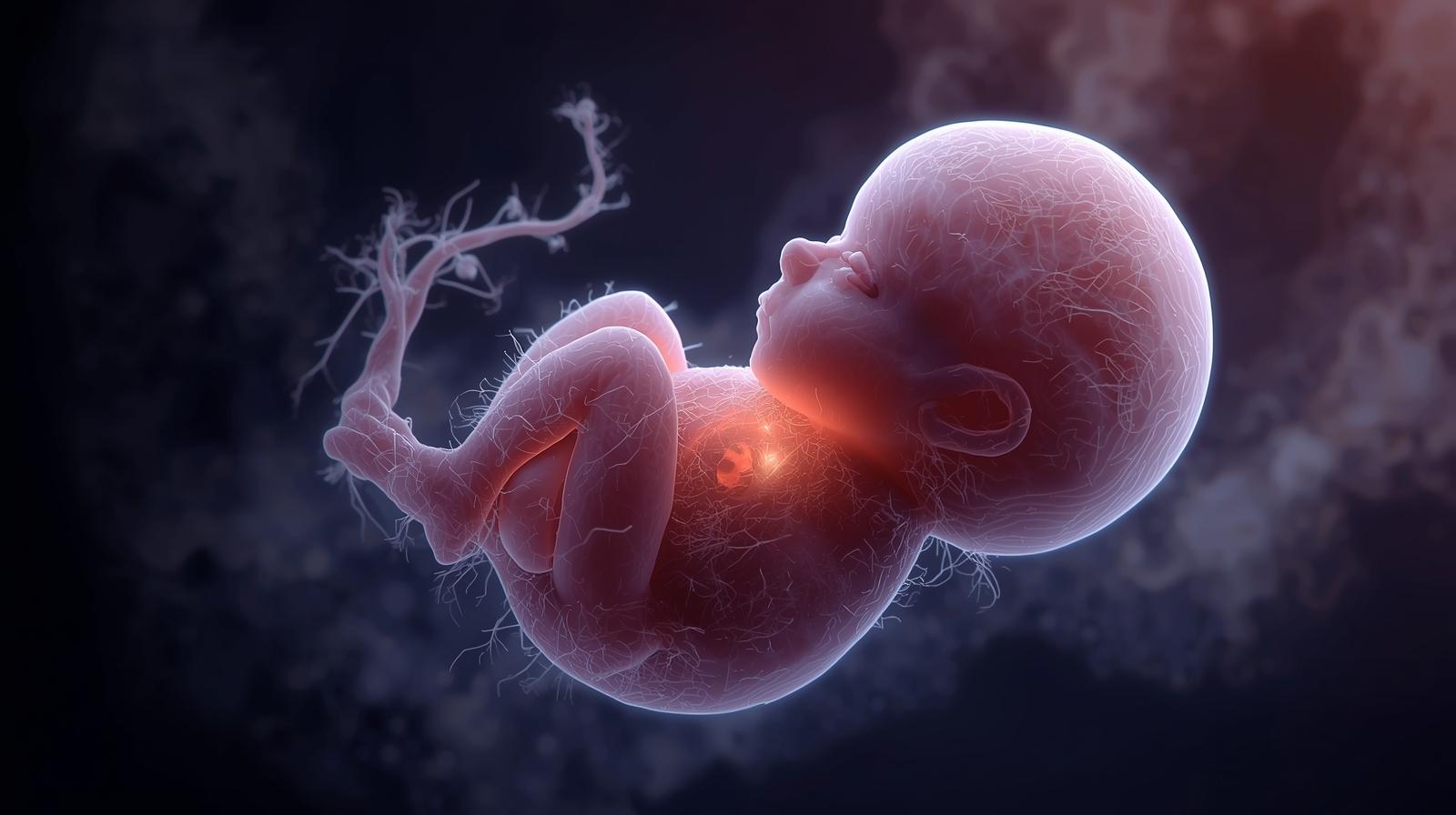 First Trimester Milestones (Weeks 9-13)