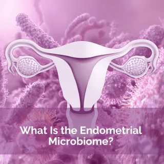 The Fertility Microbiome Series: What Is the Endometrial Microbiome?
