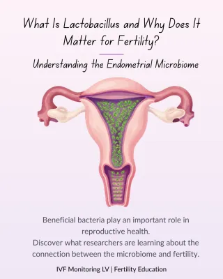 🧬 What Is Lactobacillus and Why Does It Matter for Fertility?