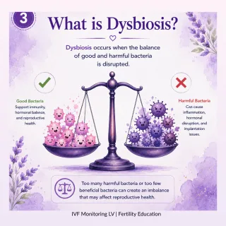 What Is Dysbiosis? Understanding the Endometrial Microbiome and Fertility | IVF Monitoring LV