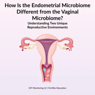 How Is the Endometrial Microbiome Different from the Vaginal Microbiome?