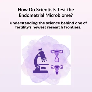 How Do Scientists Test the Endometrial Microbiome?