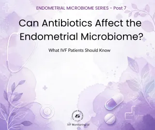 Can Antibiotics Affect the Endometrial Microbiome? What IVF Patients Should Know