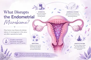 What Disrupts the Endometrial Microbiome?