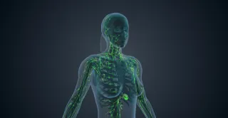 Lymphatic Drainage Explained