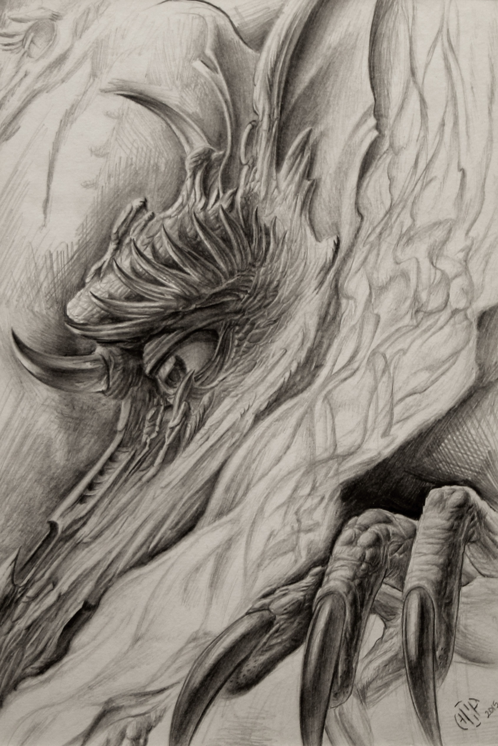 " Dragon Emerges" - Biagio Pagliarulo