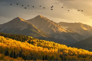 An Introduction to Buteyko Breathing: Why Your Breath Matters More  Than You Think