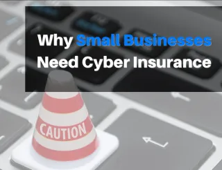 Why Small Businesses Need Cyber Insurance