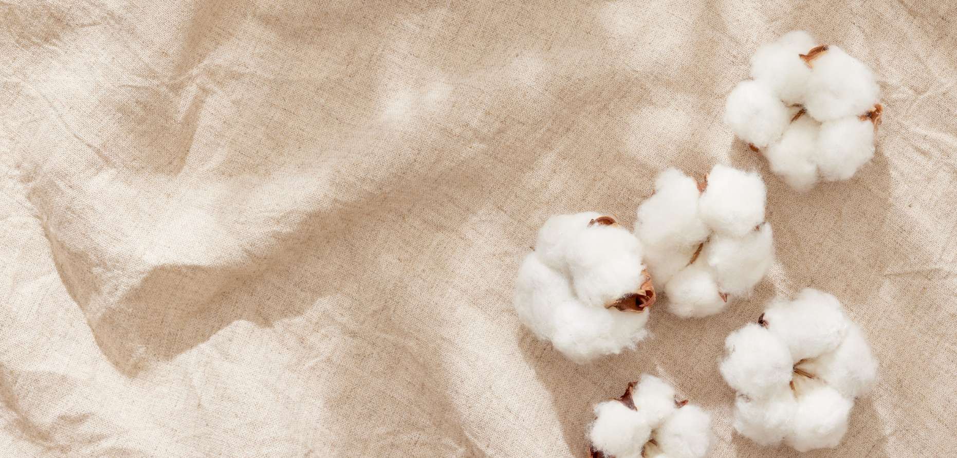 What to Consider Before Buying an Organic Mattress