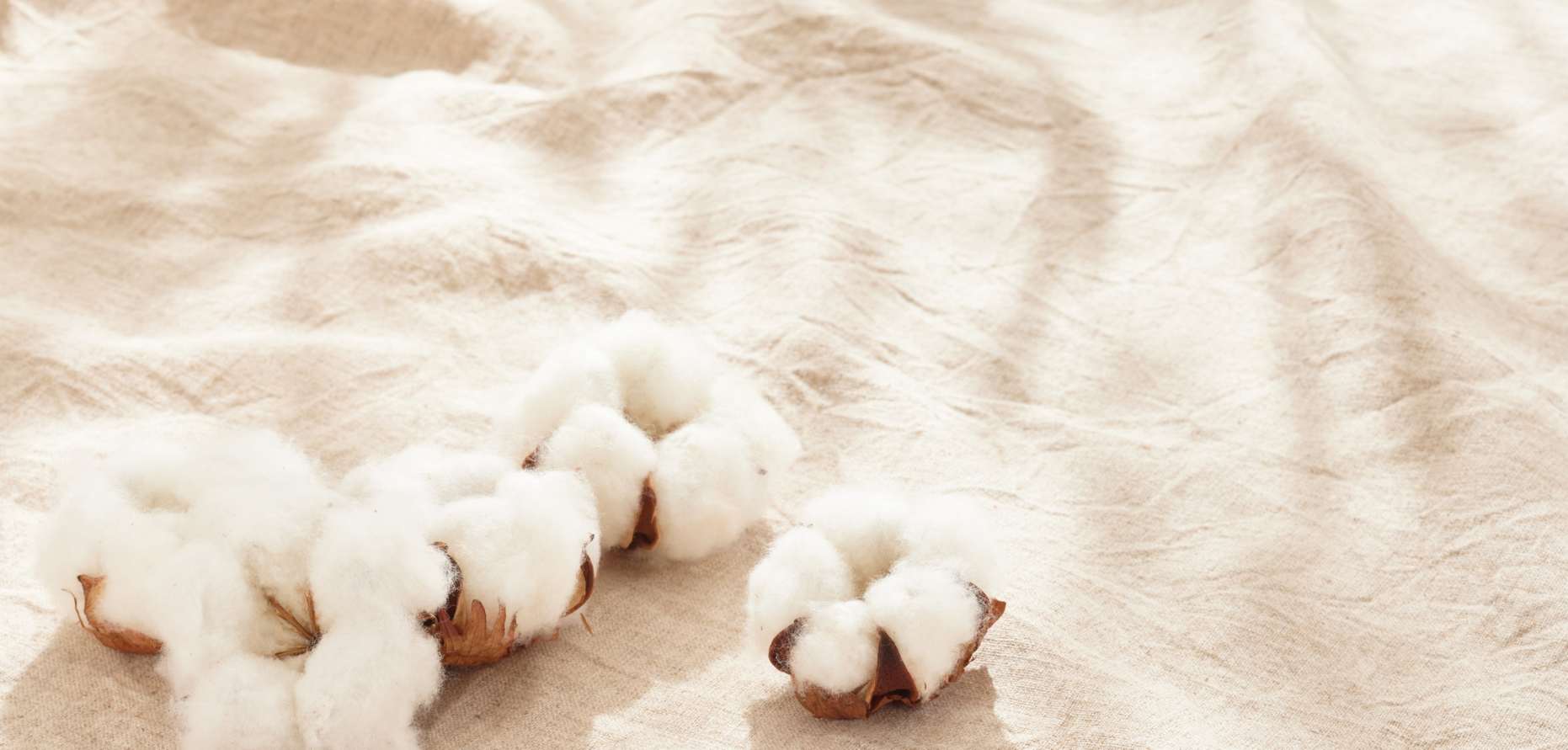 The Benefits of an Organic Mattress
