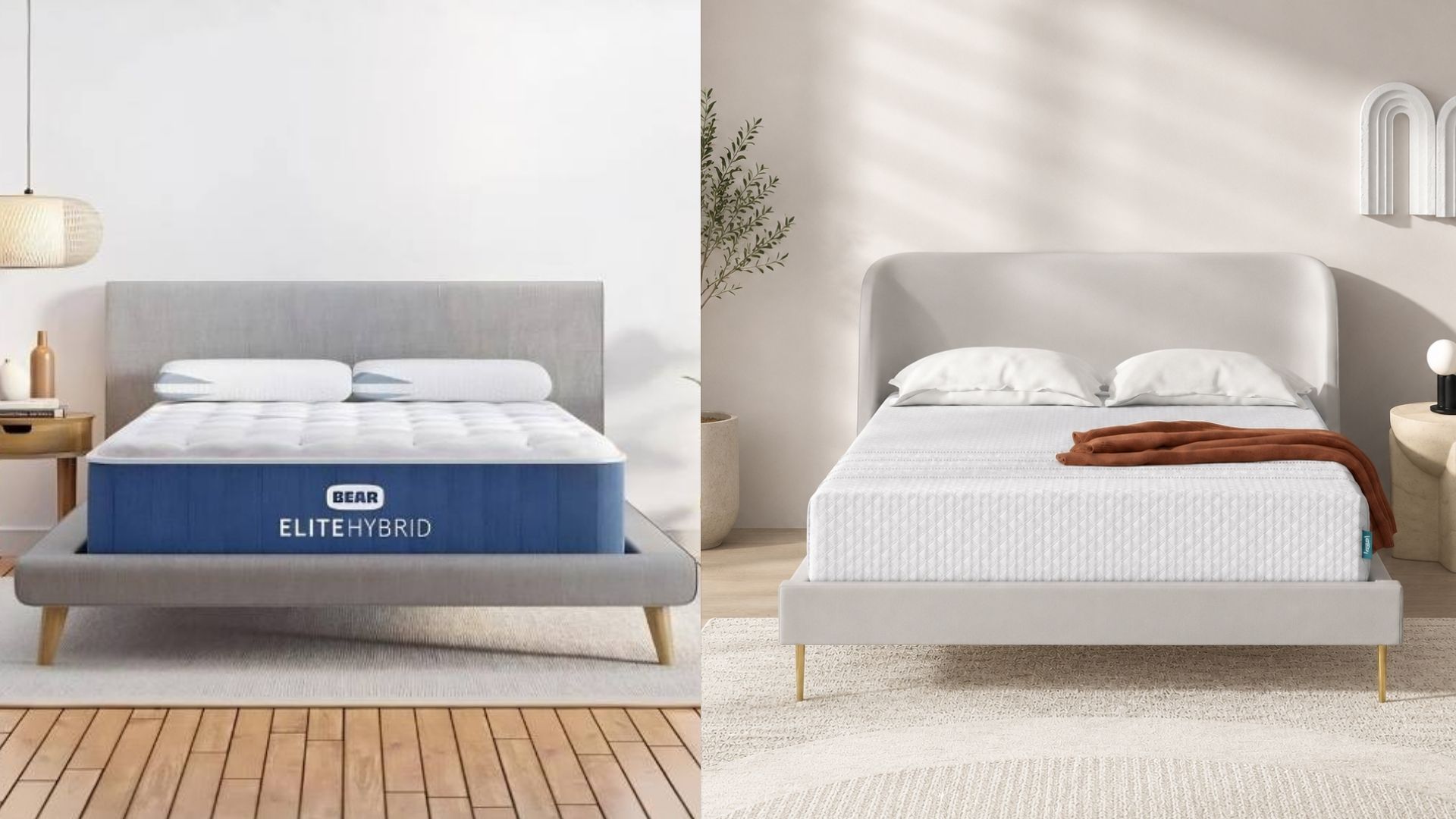 Leesa vs Bear: What Should You Compare in a Showroom?