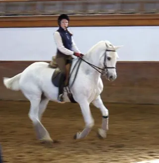 "When Do I Get to Canter?"