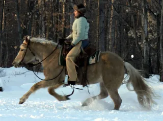 Looking Inward to Go Forward