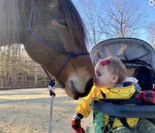 Information vs Content