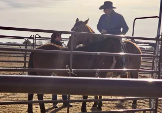 Mistakes and Recovery