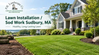 Lawn Installation / Sod Work Sudbury, MA | Learn More