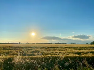 How Owner Financing Works on Land in Texas (Step by Step)