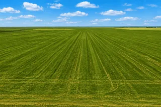 Texas Land for Veterans: Buy With a VLB Land Loan or Owner Financing