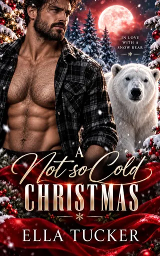 A Not So Cold Christmas cover