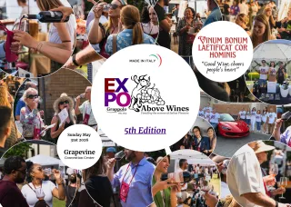 What Italy Taught Me About Wine, A Note from My Experience.