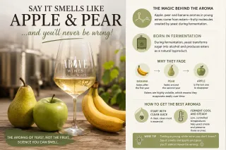 Why "Apple and Pear" Is Usually the Right Answer in White Wine