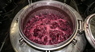 HOW WINE IS MADE — PART 2