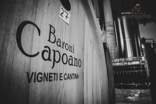 Cirò: Calabria's Ancient Wine Heart