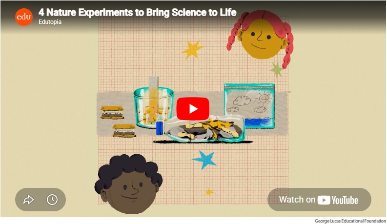FUN: 4 Nature Experiments to Bring Science to Life