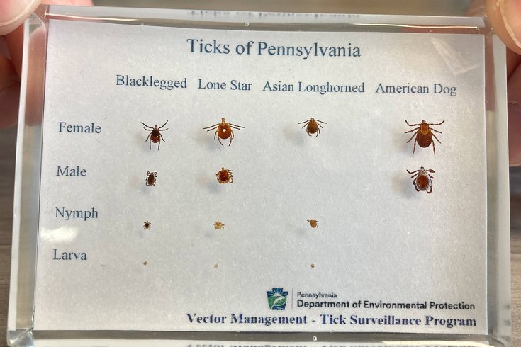 NEWS: Tick Season Gets Longer