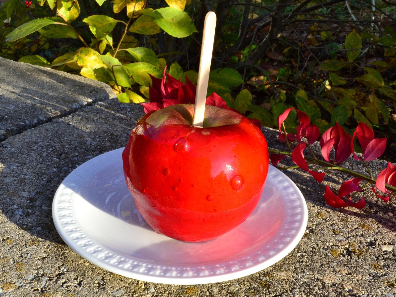 COOK: Easy Homemade Candy Apples