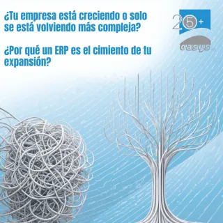 ¿Tu empresa está creciendo o solo se está volviendo más compleja?