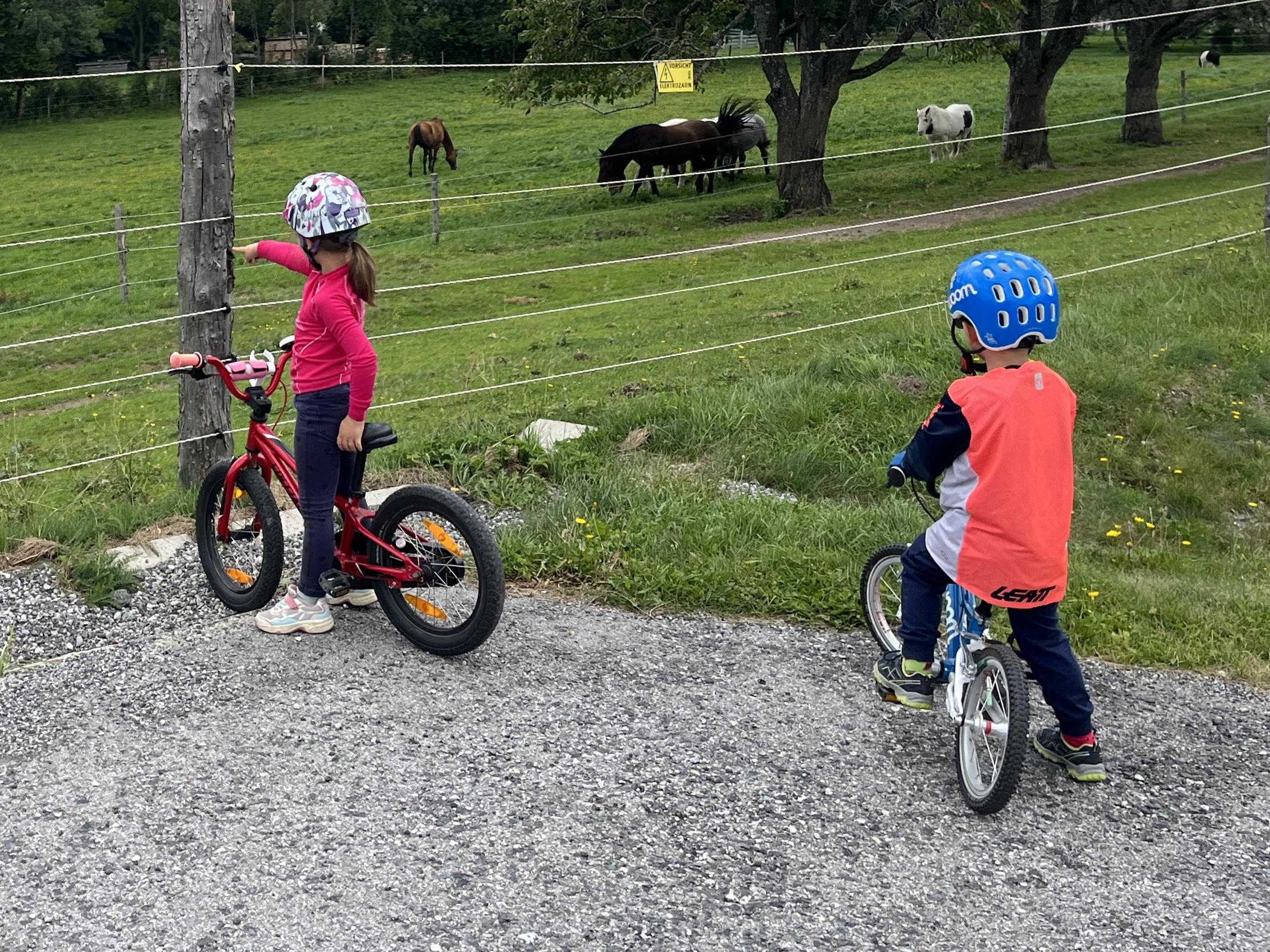 A gyerekbicikli, BMX, futi - hogyan válassz?